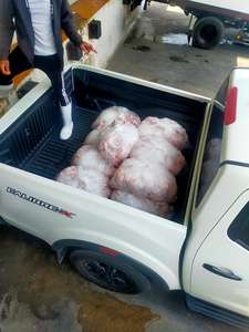 Pollo Halal Congelado IQF BQF, Cuarto de Pierna de Pollo Premium Congelado - Product Image 5