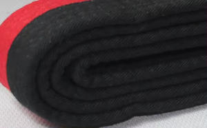 Equipo de artes marciales profesional de alta calidad Color personalizado Karate Jiu Jitsu Taekwondo Judo cinturones más vendidos al por mayor - Product Image 4