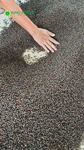 2025 Nouvelle Saison Poivre Noir et Phalco Cannelle Épice Unique Herbe Séchée Traitement Brut Vietnam Goût Chaud 500 GL 550 GL 5MM - Product Image 2