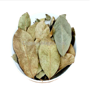 ใบมู่ริคาตะออร์แกนิกจากธรรมชาติจาก100% เวียดนาม - Product Image 4