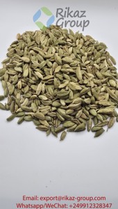 Produit agricole en gros de cardamome verte de meilleure qualité provenant directement de la Tanzanie - Product Image 3