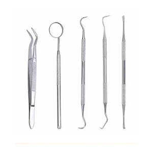Set de Exploración Dental Básica de 5 Piezas, Acero Inoxidable, Espejo Dental, Raspador, Pinzas, Fuente de Alimentación Manual, Instrumentos Profesionales - Product Image 1