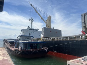 Ciment Portland de qualité supérieure 32.5 R à durcissement extra rapide, faible émission de chaleur, du Vietnam pour la construction, prix abordable - Product Image 2