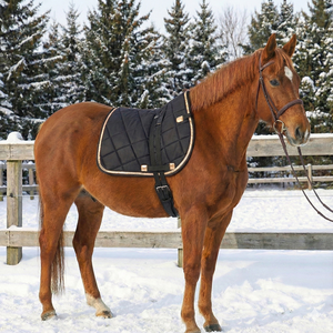Manta de Silla de Doma Acolchada Negra, Contorneada, para Caballos de Crín Alta, con Ribete Lujoso en Oro Rosa, Forro de Malla y Relleno de Espuma de Algodón para Entrenamiento - Product Image 1