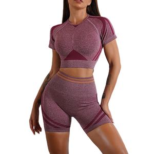 Conjunto Deportivo de Dos Piezas para Mujer, Ropa de Gimnasio de Verano, Conjuntos de Yoga de Secado Rápido, Ropa Deportiva Personalizada para Mujer - Product Image 6