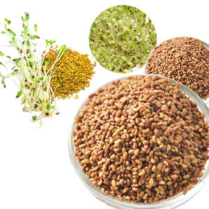 Alfalfa | Artículo de dieta animal a base de hierbas | Producto de cultivo natural - Product Image 5