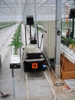 Chariot électrique de haute qualité pour rail, télécommandé, pour serres agricoles, culture de tomates et légumes, avec câble métallique de 2 ans de garantie