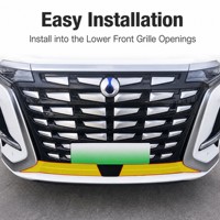 Grille de protection inférieure en ABS pour pare-chocs, moustiquaire de radiateur pour Denza D9 2023