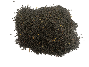 Graines de colza non-OGM, 42% de teneur en huile, qualité supérieure, approvisionnement en vrac, 8% d'humidité, origine Ukraine, marque AGROFOND, durée de conservation de 12 mois - Product Image 4