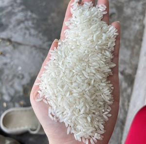 Arroz Blanco de Grano Largo Premium Riceland, Textura Ligera y Seca, Ideal para Comidas Diarias, Catering y Servicios de Alimentos, Alta Calidad - Product Image 4