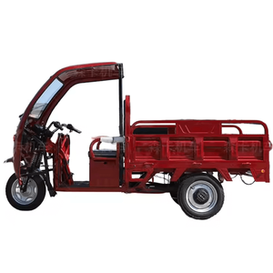 Tricycle électrique fermé simple pour passagers 200-250W 60V 4 places Ankara - Product Image 4