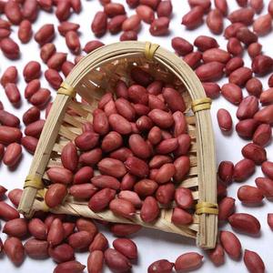 Cacahuetes de alta calidad | Cacahuetes a la venta - Product Image 3