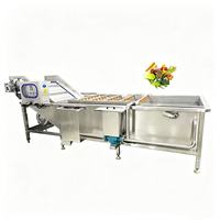 Automatische roterende luchtbellenwasser en -droger voor spinazie, groenten en fruit