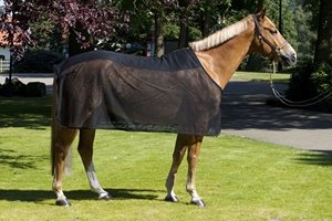 Alfombra personalizada de malla transpirable para caballos, manta equina de Verano de la India Kanpur, fabricante de tienda en línea - Product Image 6
