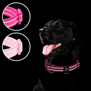 Azuza 2 Pack Collar de perro acolchado de neopreno para perros pequeños, Collar reflectante para perros con anillo de etiqueta de identificación, ajustable seguro y cómodo - Product Image 3