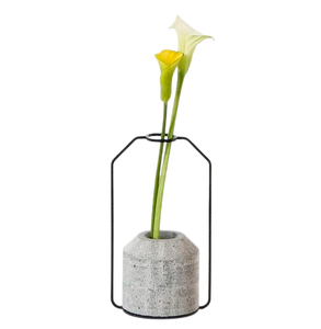 2025 nouveau Design hydroponique fleur Vase avec support en métal prix de gros luxe fer Vase plante mariage décor en vrac quantité prix - Product Image 4