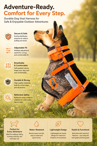 Arnés Ajustable para Perro de Nailon Azul Resistente LT con Correas Naranjas, Cierre de Hebilla, Estilo Deportivo, Herrajes Metálicos Mate para Razas Grandes - Product Image 4