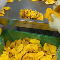 Premium gedroogde mango, gesneden, bulkverpakking, Vietnam, levert natuurlijke gezonde snacks voor wereldwijde supermarkten en snackmerken.