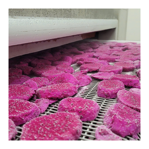 ผลไม้มังกรแช่แข็งเนื้อแดงและขาวสำหรับผลไม้มังกรแช่แข็งคุณภาพพรีเมี่ยมจากเวียดนาม - Product Image 3