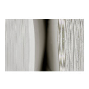 Déchets de bois tendres blanchis de qualité papetière pour processus de fabrication de papier industriel continu - Product Image 5