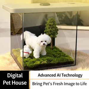 ELEVE Pet Digital Memory Display Box Acrylic Holographic Cut Design 10x10x10cm Display Case - Product Image 2