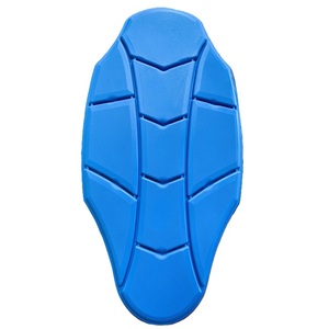 Blue EVA <b>Back</b> Pad Sports Safety Protective Gear for Skiing & Motorcycle Universal Fit All Seasons - Product Image 1