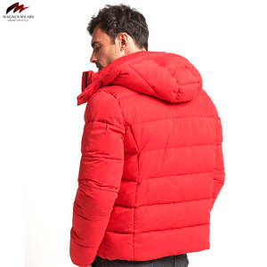 Veste d'hiver décontractée pour homme, de haute qualité, confortable, coupe-vent et respirante, doublure en bambou, col mandarin, tissu en toile - Product Image 2