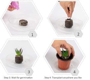 Qualité supérieure 3mm-10mm pièce de monnaie Polyfoam artisanat jardin Art projets Durable léger noix de coco tourbe semis Shrekha créations - Product Image 4