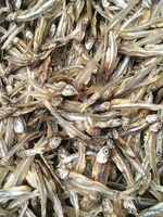 Produit en forte demande Gros poisson anchois séché Fruits de mer de qualité supérieure et coût extrêmement bas-ANNA DO W.A + 84 982153058