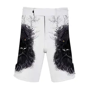 Pantalones Cortos de Grappling con Logotipo Personalizado, Pantalones Cortos de MMA de Alta Calidad para Hombre, Conjuntos de Rashguard de Secado Rápido, Pantalones Cortos de Jiu Jitsu para Lucha MMA - Product Image 1