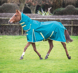 견고한 방수 프리미엄 폴리 에스테르 말 겨울 깔개 편안함과 보호를 위한 저렴한 맞춤형 맞춤 맞춤 - Product Image 6