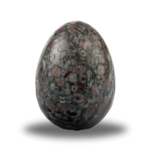 Huevo de jaspe fósil de crinoides, venta al por mayor, huevos de cristal curativos naturales para decoración del hogar y equilibrio energético del fabricante de confianza - Product Image 1