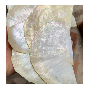 Haute qualité nacre Vietnam nacre coquille tranches pour bijoux incrustation artisanat décoratif mur Art et meubles - Product Image 2