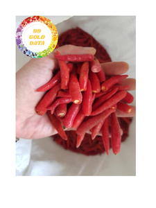 Chiles congelados en forma triturada para fabricantes de alimentos y productores de condimentos Vietnam Origin Premium Red Chilli - Product Image 3