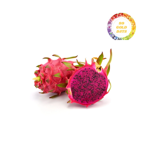 Morceaux de fruits du dragon rouge/blanc congelés IQF du Vietnam | Meilleur choix pour les jus, les smoothies et les emballages de vente au détail - Product Image 2