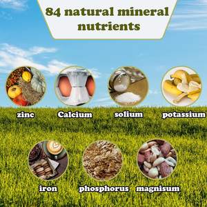 Bloque de sal rosa del Himalaya, técnica tallada, Mineral puro Natural para ciervos, caballos, ovejas, vacas en cuerdas - Product Image 3