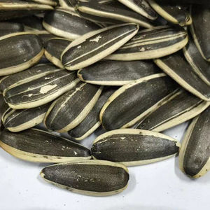<b>Kernels</b> <b>Sunflower</b> Seeds Nuts <b>Sunflower</b> <b>Kernels</b> for Sale - Product Image 4