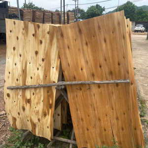 Chapa de Madera de Acacia y Eucalipto para Uso en Almacenes, CIF Manila, Puerto de Davao, Proveedor de Vietnam, HCPLY Lucyplywood, 1 Año de Garantía - Product Image 4