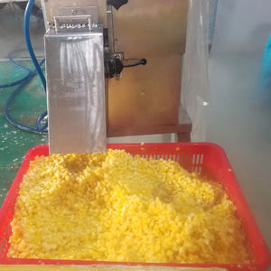 Cubos de piña congelada | Sabor dulce tropical | Exportación de Vietnam - Product Image 1