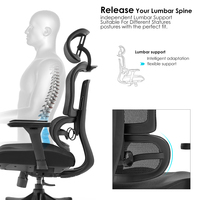 Silla de Oficina Ergonómica de Malla, Fabricada en China, para Trabajo de Oficina y Muebles de Oficina en Casa