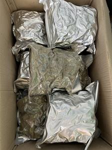 Feuilles de corossol séchées naturellement sélectionnées pour les projets d'infusion de boissons, emballage de vente au détail et approvisionnement pour le marché international - Product Image 5