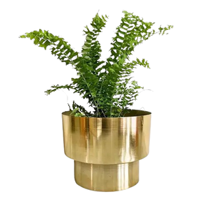 Meilleur pot de plantes Dernière jardinière de table Prix de gros Nouveau dernier pot de fleurs de jardin pour la meilleure décoration et le balcon de la maison - Product Image 2