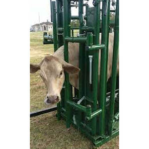 โรงเรือนกระต่ายสำเร็จรูปโครงสร้างเหล็กเป็นมิตรกับสิ่งแวดล้อมอเนกประสงค์ แข็งแรงทนทาน เหมาะสำหรับใช้เป็นโรงงานหรือพื้นที่ทำงานในฟาร์ม - Product Image 4