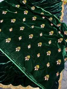 Sari en velours au look exclusif de créateur avec un chemisier élégant, style chic, ethnique, tendance, dernier cri, indien, modeste, pour les fêtes, pour femmes - Product Image 2