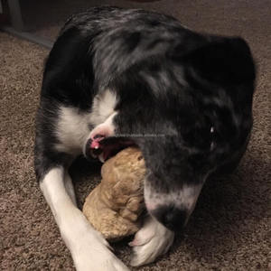 Large Size Gorilla Coffee Wood <b>Dog</b> Chew for Strong Chewers, Natural Wooden Chew Toy Improves Oral Care and Reduces Anxiety - Product Image 2