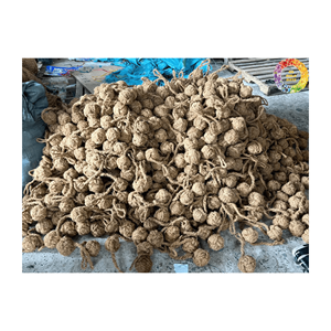 Juguete masticable de coco natural para perros más vendido | Accesorios y suministros duraderos y ecológicos para mascotas de Vietnam. - Product Image 4