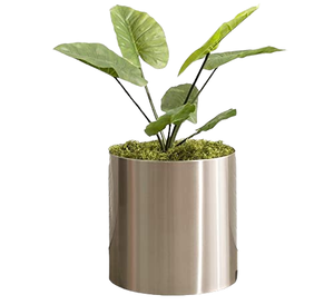 Meilleur pot de plantes Dernière jardinière de table Prix de gros Nouveau dernier pot de fleurs de jardin pour la meilleure décoration et le balcon de la maison - Product Image 6