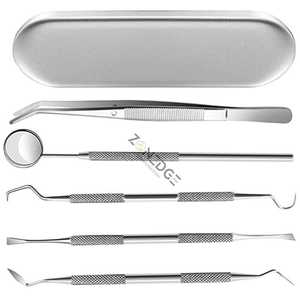 Professional Dentist Teeth Cleaning Kit Stainless Steel Picks Plaque Remover Manual Dental Surgical Instruments Kit Dental - Product Image 4