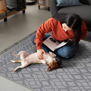 Tapis de sol traditionnel en tissage plat Netline Home, antidérapant, pour la cuisine et le salon, décoratif, lavable, ensemble de tapis - Product Image 5