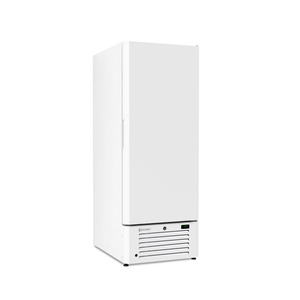 FRAMEC STARK P Upright Super Insulated Ice Cream <b>Freezer</b> 730x954x1980mm Commercial Storage Cabinet White - Product Image 1
